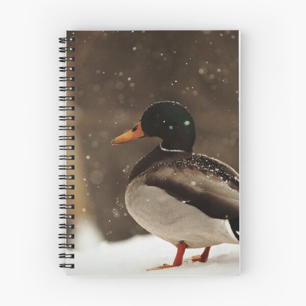 Item preview, Duck designed and sold by Picsorama.
