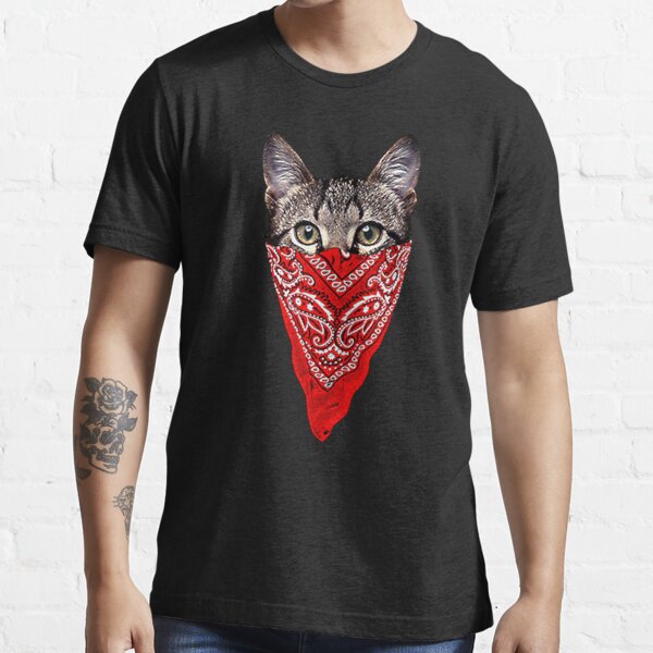 cat with bandana shirt