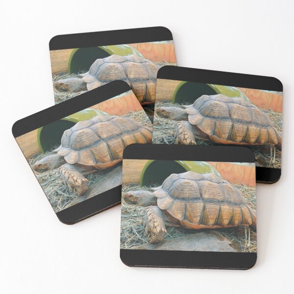 Item preview, Turtle Time designed and sold by O-Time.