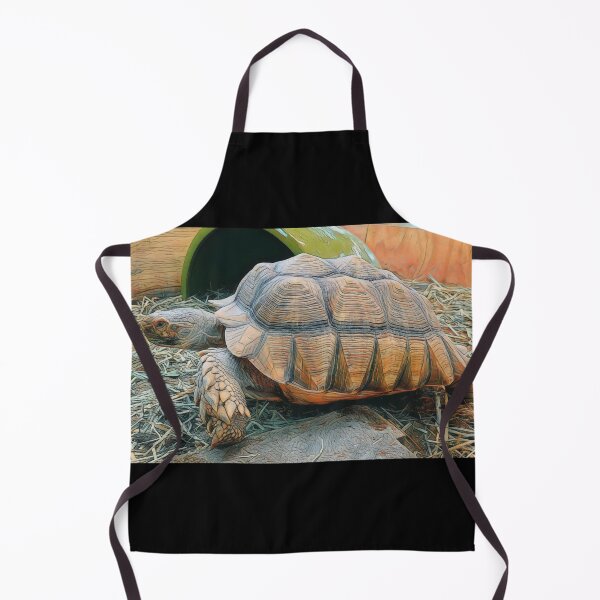 Item preview, Turtle Time designed and sold by O-Time.