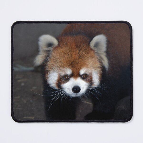 Item preview, Li Ming designed and sold by Savannah Gibbs.