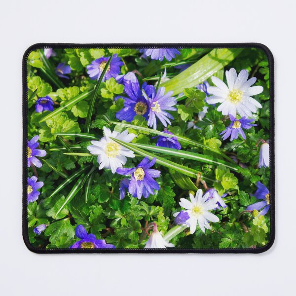 Item preview, Anemone Blanda designed and sold by Dorset Girl.