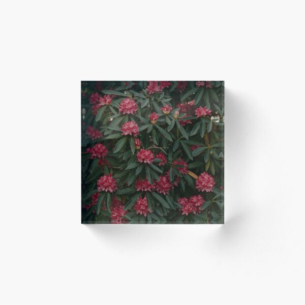 Item preview, Ramo de flores designed and sold by Monochrom4.