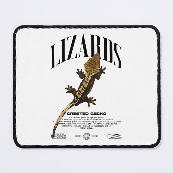 Item preview, Crested Gecko Streetwear Lizard Keeper designed and sold by JRRTs.