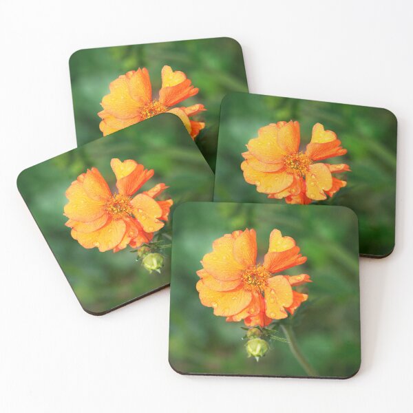 Item preview, Geum Totally Tangerine designed and sold by Dorset Girl.