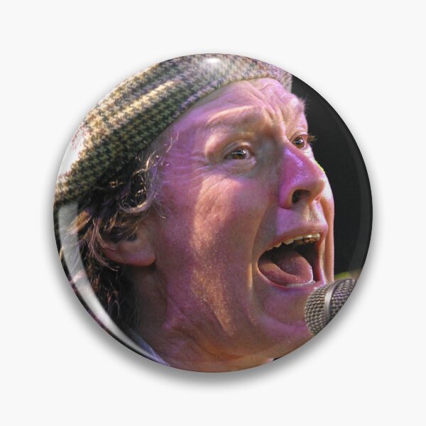 Item preview, Steve Winwood - Photograph designed and sold by ConcertImages.