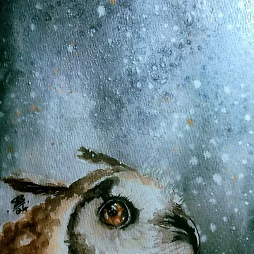 Artwork thumbnail, Snowfall by WhimsyLab