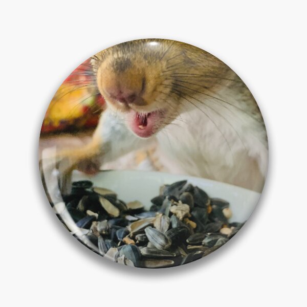 Item preview, Chi chi the squirrel- Nature of Joy  designed and sold by NatureofJoy.