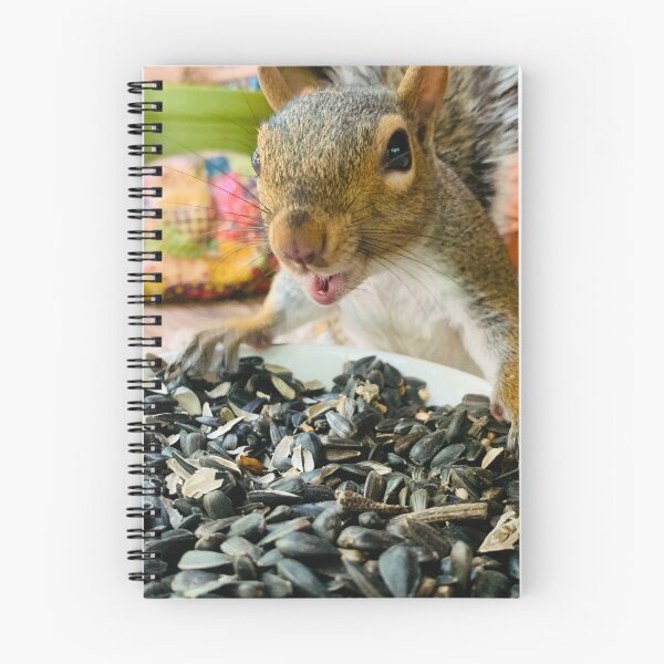 Item preview, Chi chi the squirrel- Nature of Joy  designed and sold by NatureofJoy.