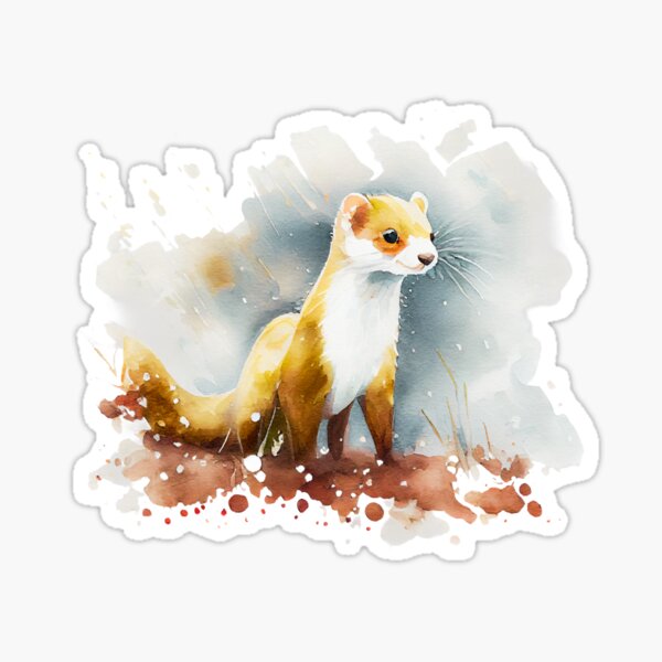 Artikel-Vorschau von Aquarell Hermelin, designt und verkauft von TheAnimalZ00.