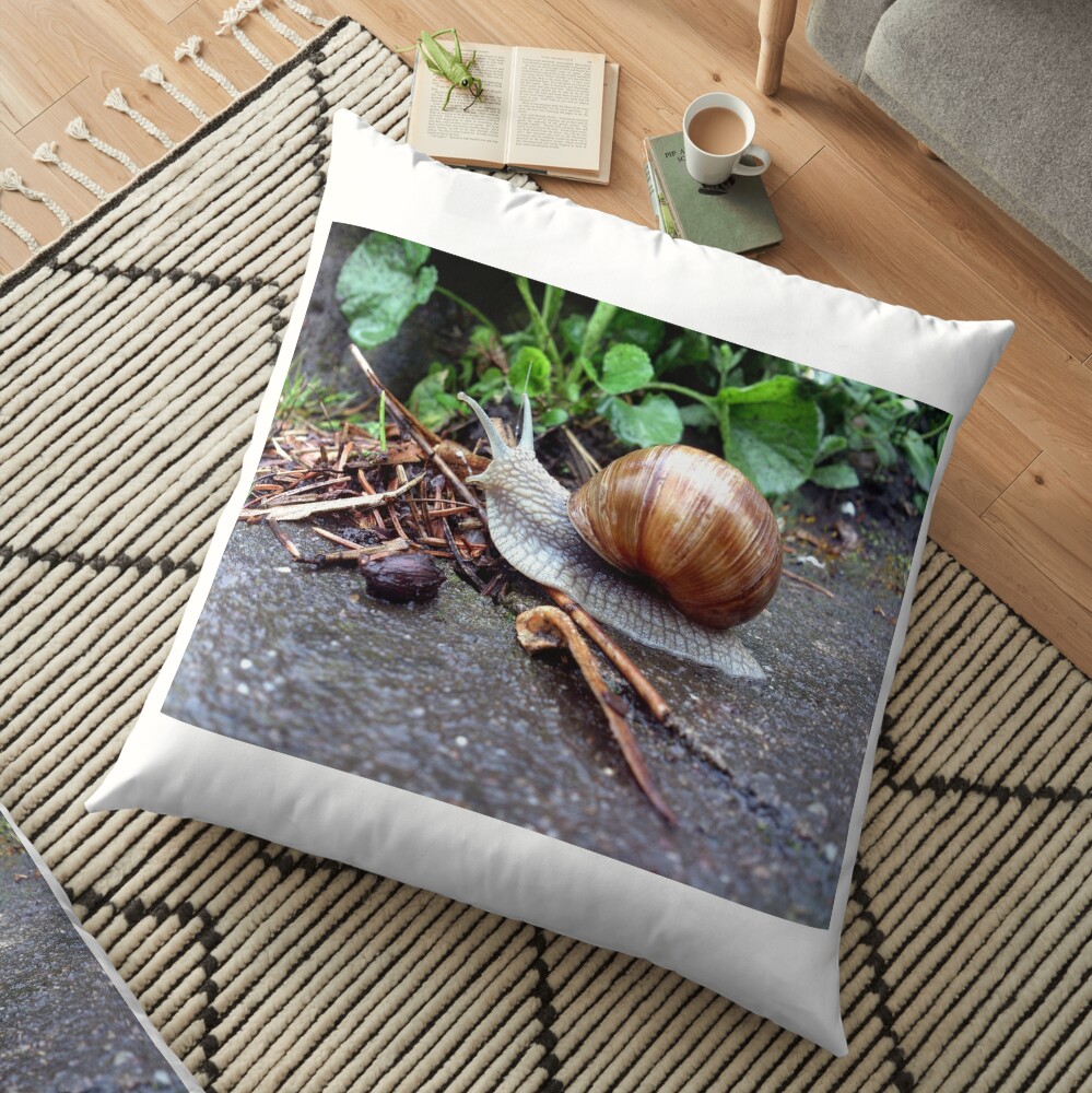 Weinberg-Schnecke Bodenkissen