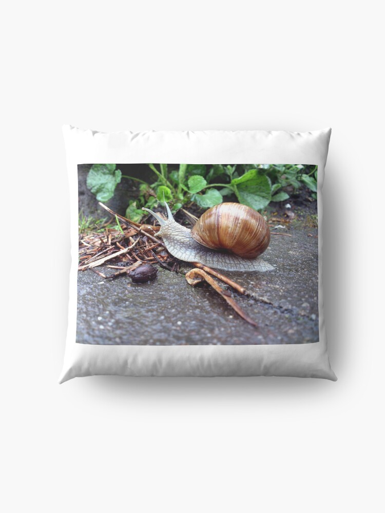 Alternative Ansicht von Weinberg-Schnecke Bodenkissen