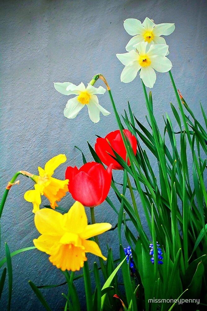 Spring Has Spring Finally