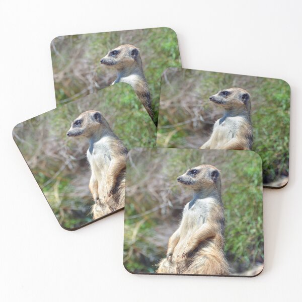 Item preview, Meerkat designed and sold by Savannah Gibbs.