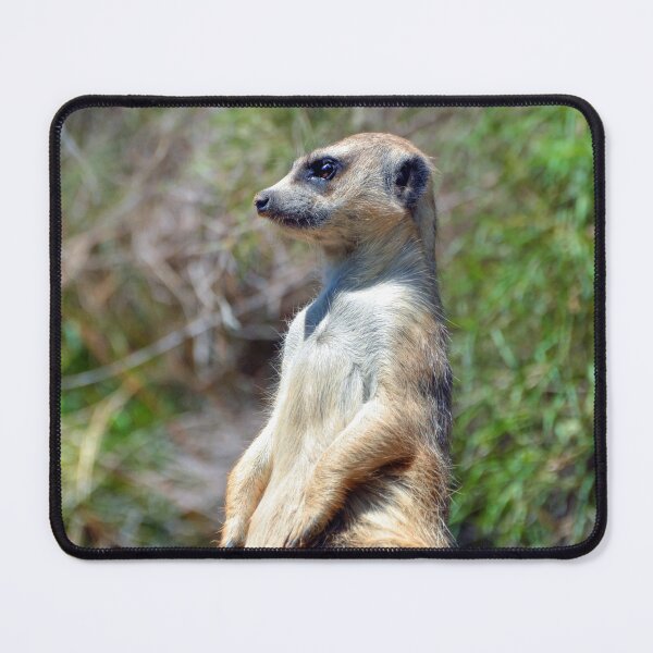 Item preview, Meerkat designed and sold by Savannah Gibbs.