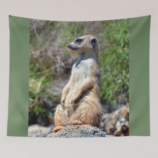 Item preview, Meerkat designed and sold by Savannah Gibbs.
