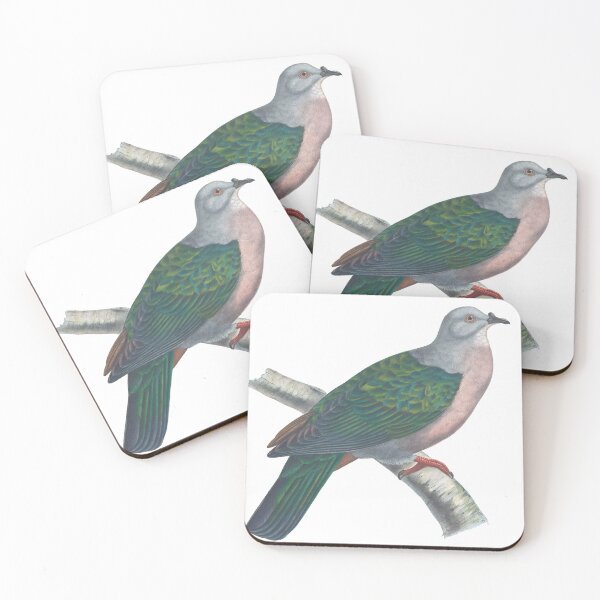 Item preview, Globicera Sundevalli Dove Vintage Color Lithograph designed and sold by ElegantTeaTime.