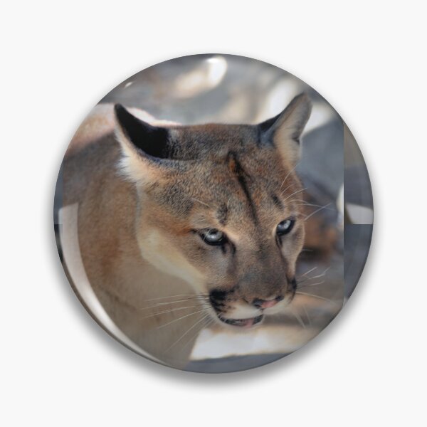 Item preview, Mountain Lion  designed and sold by Savannah Gibbs.