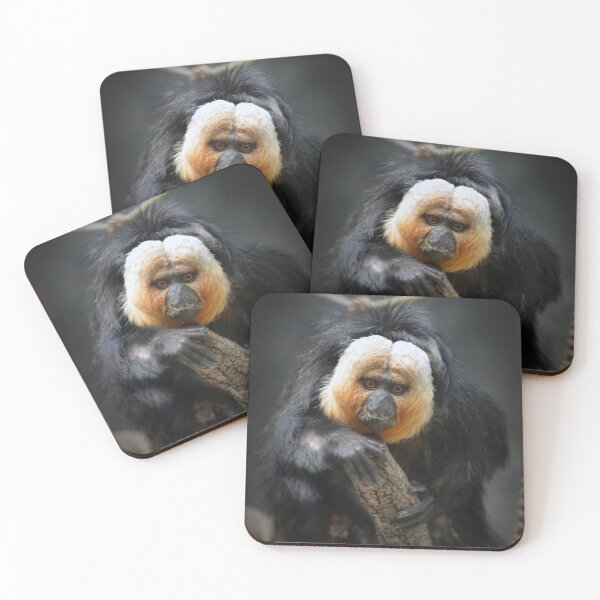 Item preview, Saki Monkey  designed and sold by Savannah Gibbs.