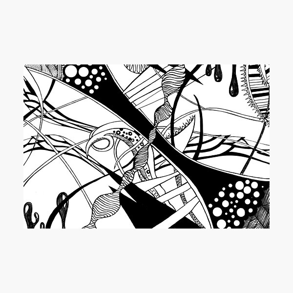 - JUNGLE - Photographic Print