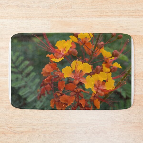 Item preview, Pride of Barbados designed and sold by MangoSeeds.