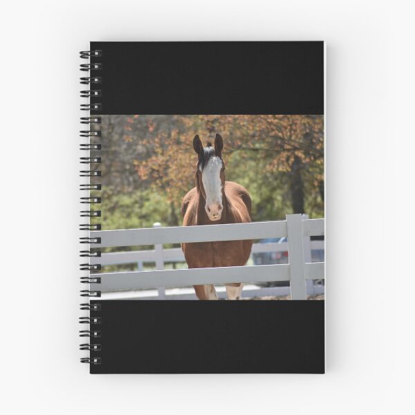 Item preview, Clydesdale Horse designed and sold by MarieDarcy97.