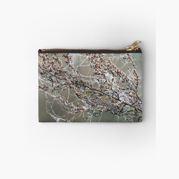 Item preview, branch with spider cobweb and dew drops closeup designed and sold by goceris.