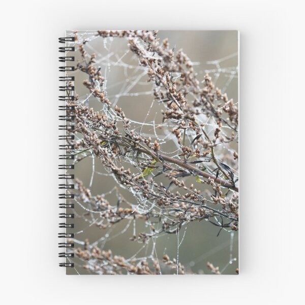 Item preview, branch with spider cobweb and dew drops closeup designed and sold by goceris.