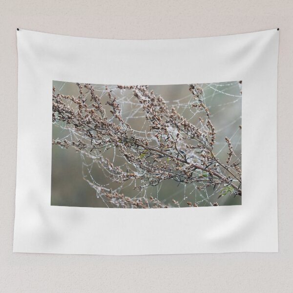 Item preview, branch with spider cobweb and dew drops closeup designed and sold by goceris.