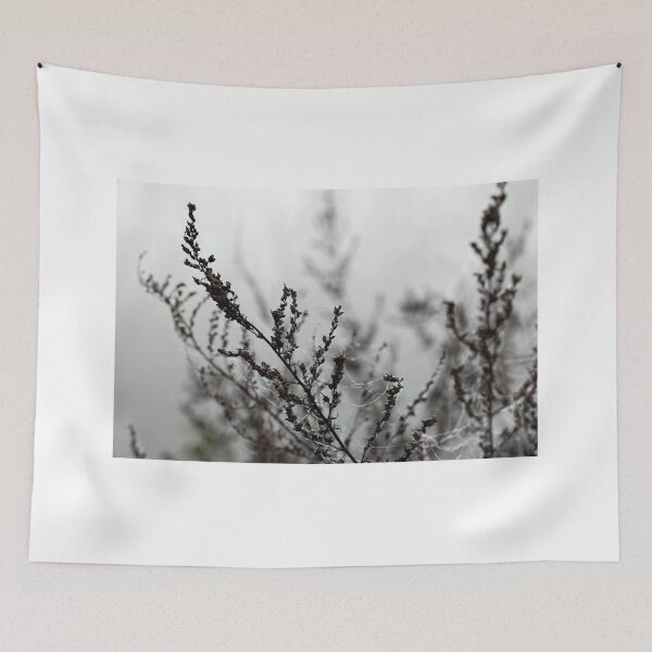 Item preview, spider cobweb and dew drops on branches in mist designed and sold by goceris.