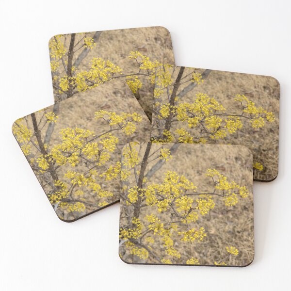 Item preview, Cornus officinalis 10 designed and sold by yunee.