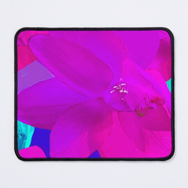 Item preview, Pink Christmas Cactus Photography - Pink Cactus Photography - Repeating Pattern designed and sold by Victoria Rose.