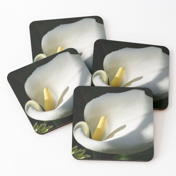 Item preview, White Calla Lilies Over Black Background In Soft Focus designed and sold by taiche.