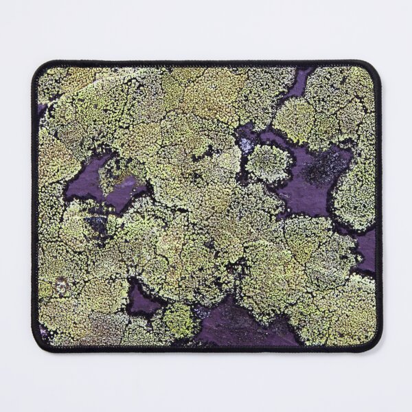 Item preview, slate lichen designed and sold by KathleenDawson.
