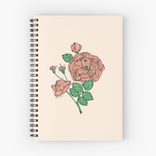 Item preview, Apricot Rosette Rose Bloom Semi-Double 8-15 Petals In 2 Rows designed and sold by Rachael Taylor.
