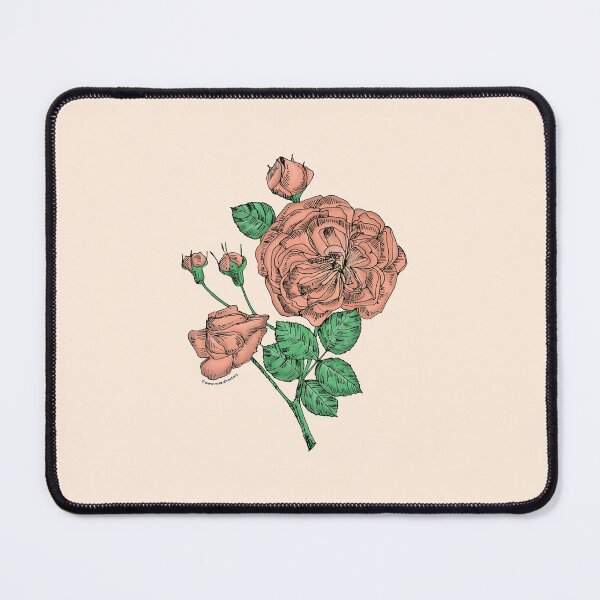 Item preview, Apricot Rosette Rose Bloom Semi-Double 8-15 Petals In 2 Rows designed and sold by Rachael Taylor.