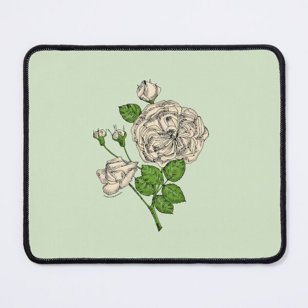 Item preview, Cream Rosette Rose Bloom Semi-Double 8-15 Petals In 2 Rows designed and sold by Rachael Taylor.