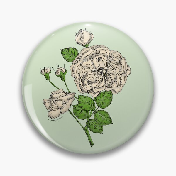Item preview, Cream Rosette Rose Bloom Semi-Double 8-15 Petals In 2 Rows designed and sold by Rachael Taylor.