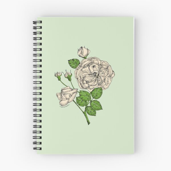Item preview, Cream Rosette Rose Bloom Semi-Double 8-15 Petals In 2 Rows designed and sold by Rachael Taylor.