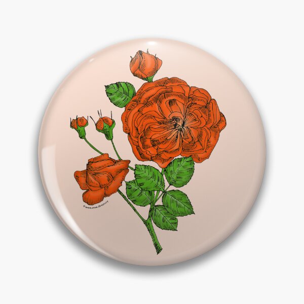 Item preview, Orange Rosette Rose Bloom Semi-Double 8-15 Petals In 2 Rows designed and sold by Rachael Taylor.