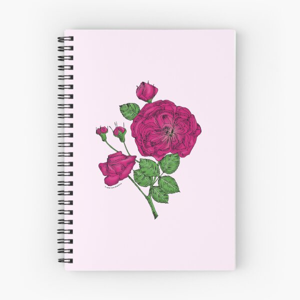 Item preview, Deep Pink Rosette Rose Bloom Semi-Double 8-15 Petals In 2 Rows designed and sold by Rachael Taylor.