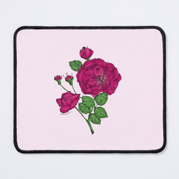 Item preview, Deep Pink Rosette Rose Bloom Semi-Double 8-15 Petals In 2 Rows designed and sold by Rachael Taylor.