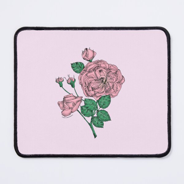 Item preview, Light Pink Rosette Rose Bloom Semi-Double 8-15 Petals In 2 Rows designed and sold by Rachael Taylor.