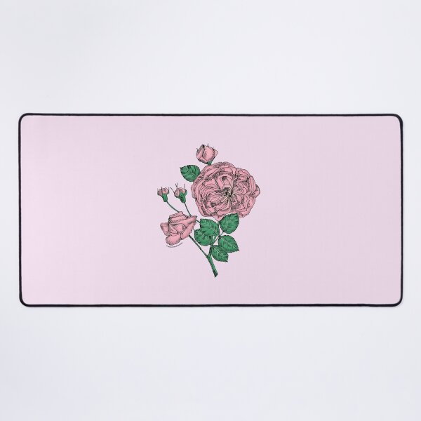 Item preview, Light Pink Rosette Rose Bloom Semi-Double 8-15 Petals In 2 Rows designed and sold by Rachael Taylor.