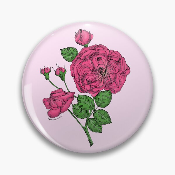 Item preview, Mid Pink Rosette Rose Bloom Semi-Double 8-15 Petals In 2 Rows designed and sold by Rachael Taylor.