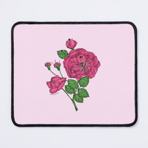 Item preview, Mid Pink Rosette Rose Bloom Semi-Double 8-15 Petals In 2 Rows designed and sold by Rachael Taylor.