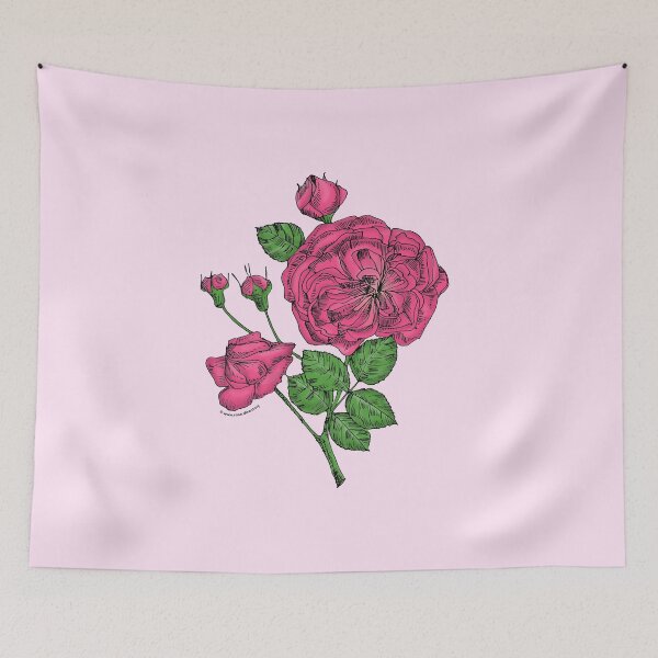 Item preview, Mid Pink Rosette Rose Bloom Semi-Double 8-15 Petals In 2 Rows designed and sold by Rachael Taylor.
