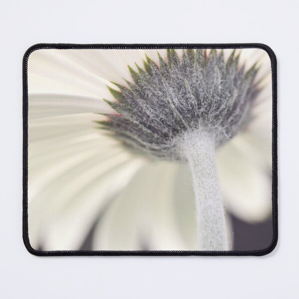 Item preview, Gerbera's back designed and sold by Cristina Rossi.