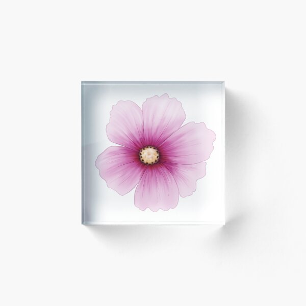 Item preview, Cosmos, Flower of harmony and serenity designed and sold by Audrey Janvier | AJD.