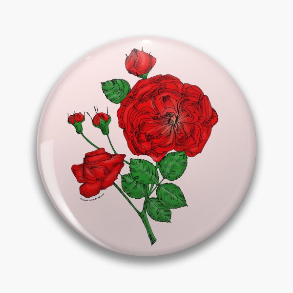 Item preview, Bright Red Rosette Rose Bloom Semi-Double 8-15 Petals In 2 Rows designed and sold by Rachael Taylor.